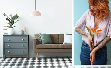 Visualisation du produit