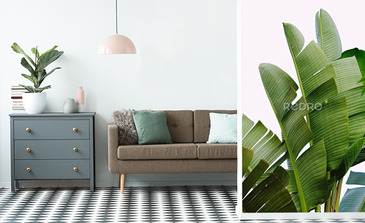 Visualisation du produit