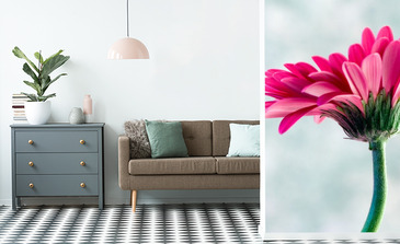 Visualisation du produit