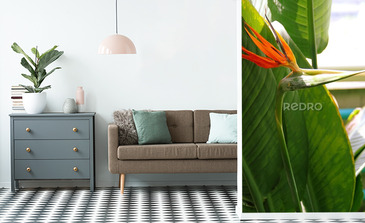 Visualisation du produit