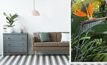 Visualisation du produit