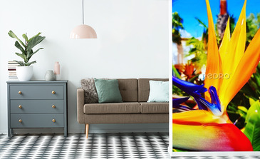 Visualisation du produit