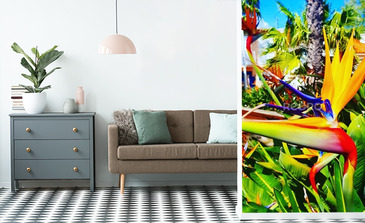 Visualisation du produit