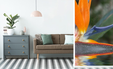 Visualisation du produit