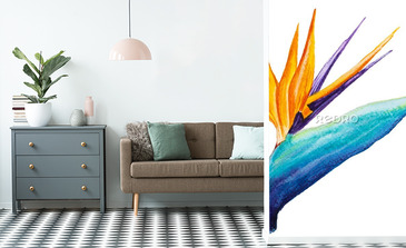 Visualisation du produit