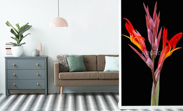 Visualisation du produit