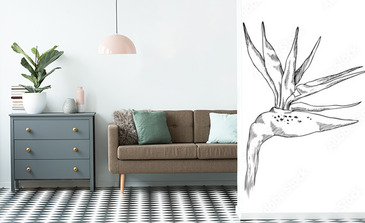 Visualisation du produit