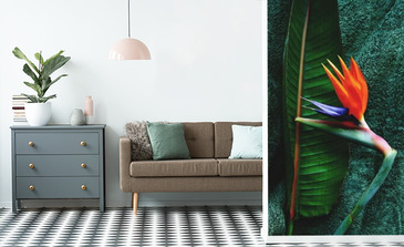 Visualisation du produit