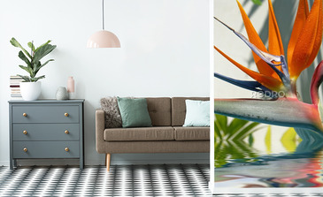 Visualisation du produit