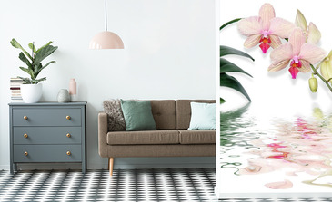 Visualisation du produit