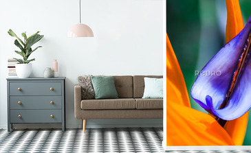 Visualisation du produit