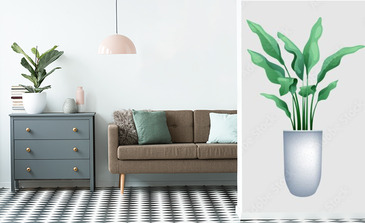 Visualisation du produit