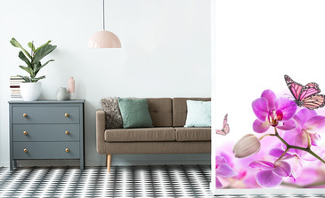 Visualisation du produit