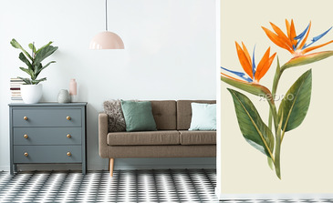 Visualisation du produit