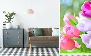 Visualisation du produit