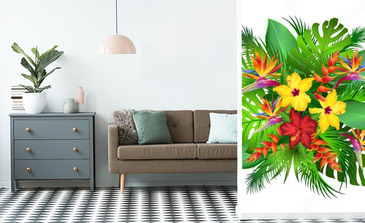 Visualisation du produit