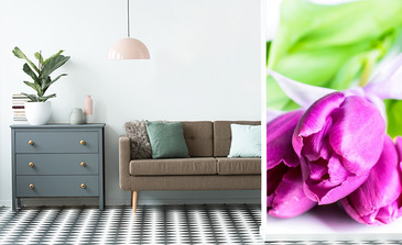 Visualisation du produit