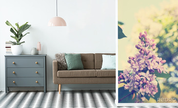 Visualisation du produit