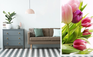 Visualisation du produit