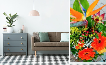 Visualisation du produit