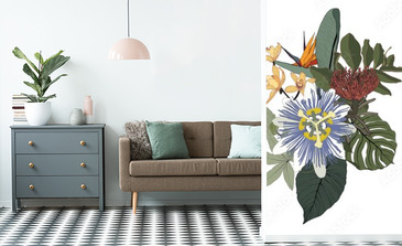 Visualisation du produit