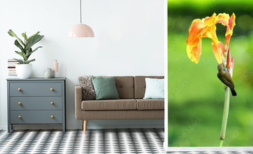 Visualisation du produit