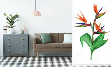 Visualisation du produit