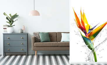 Visualisation du produit