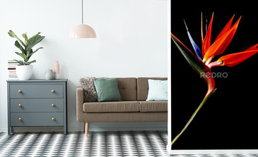 Visualisation du produit