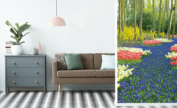 Visualisation du produit