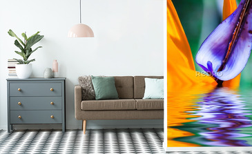 Visualisation du produit