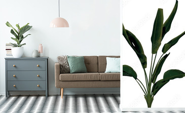 Visualisation du produit