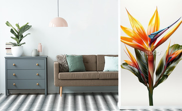 Visualisation du produit