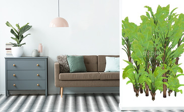 Visualisation du produit