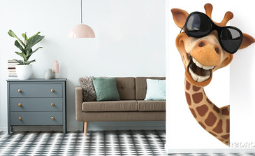 Visualisation du produit