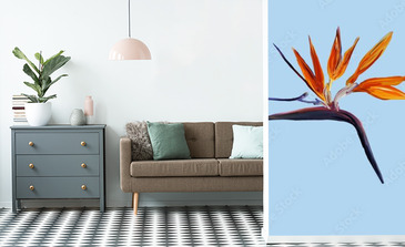 Visualisation du produit