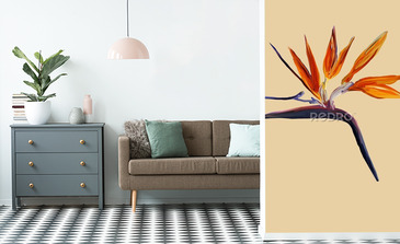 Visualisation du produit