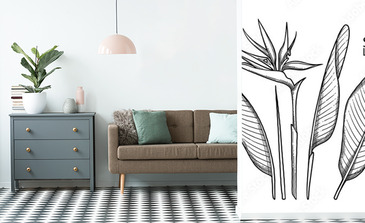 Visualisation du produit