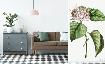 Visualisation du produit