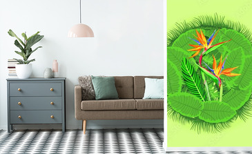 Visualisation du produit