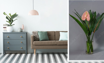 Visualisation du produit