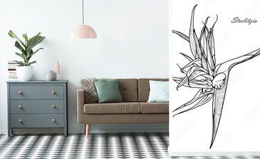 Visualisation du produit