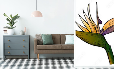 Visualisation du produit