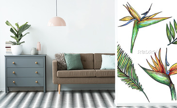 Visualisation du produit