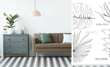 Visualisation du produit