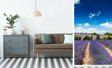 Visualisation du produit