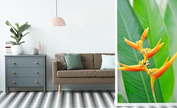 Visualisation du produit