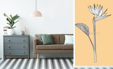 Visualisation du produit