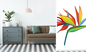 Visualisation du produit