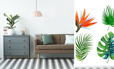 Visualisation du produit